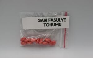 Sarı Fasulye Tohumu 4g