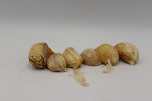 Malta Sarımsağı (6 Diş)