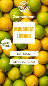 Manavgat Limonu 5Kg