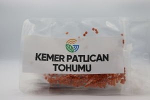 Kemer Patlıcan Tohumu 4g