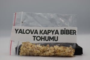 Yalova Kapya Biber Tohumu 4g