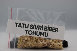 Tatlı Sivri Biber Tohumu 4g