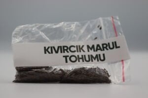 Kıvırcık Marul Tohumu 4g