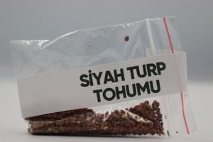 Siyah Turp Tohumu 4g