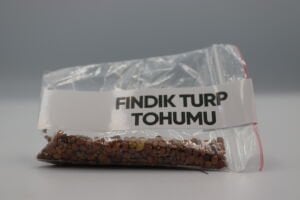 Fındık Turp Tohumu 4g