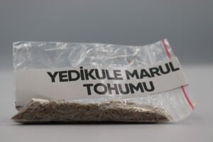 Yedikule Marul Tohumu 4g