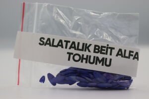 Salatalık Beit Alpa Tohumu 4g